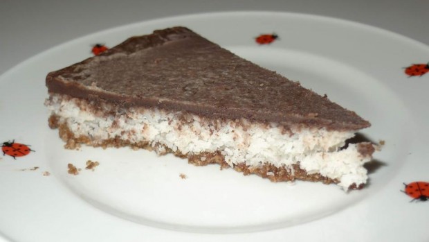 RAW čokoládovo - kokosový dort